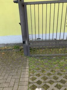 assistenza Beninca Copparo